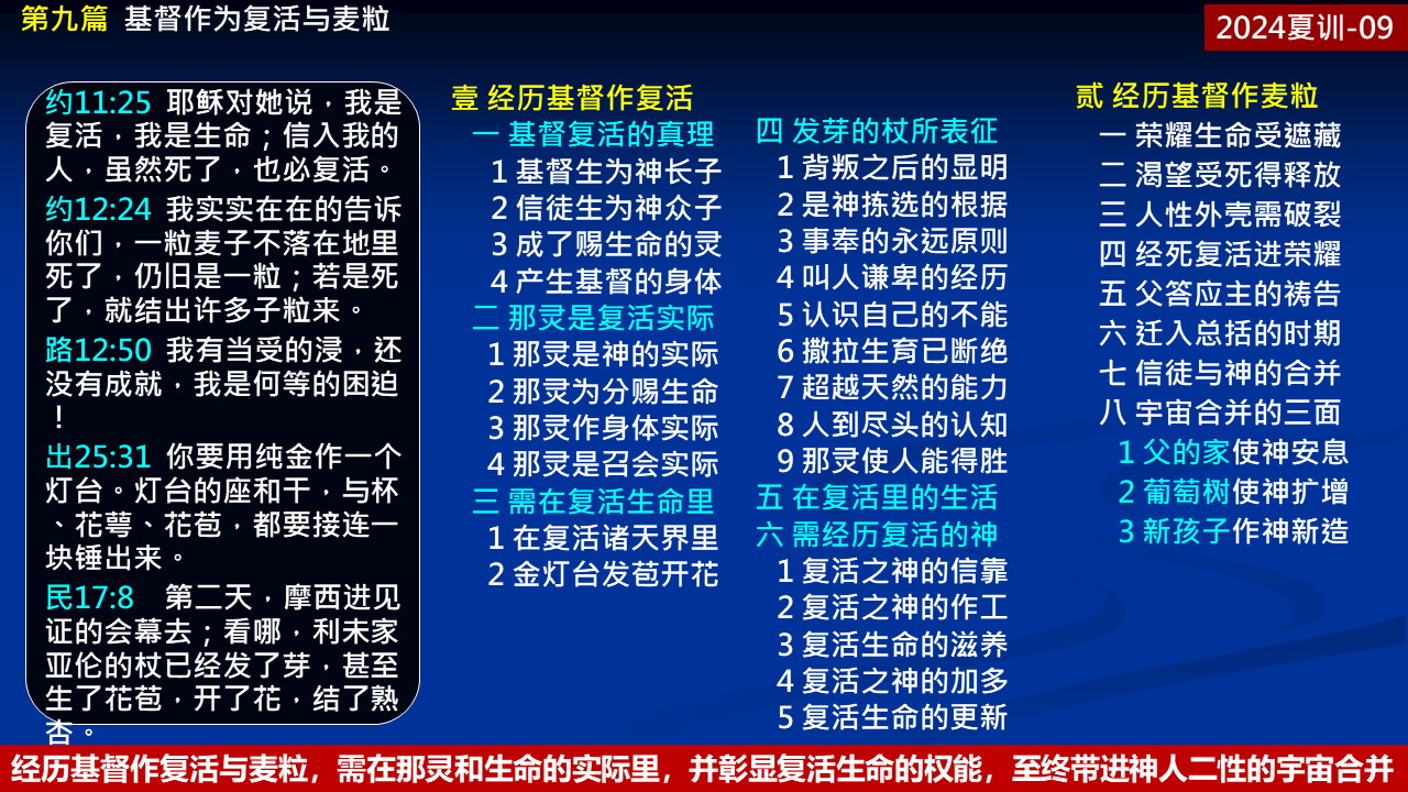 纲目图