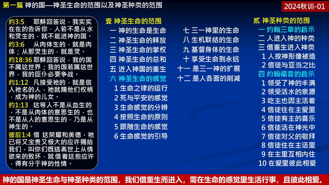 纲目图