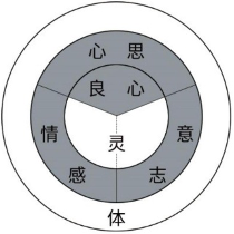 纲目图